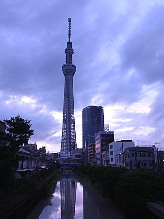 幻想的なスカイツリー