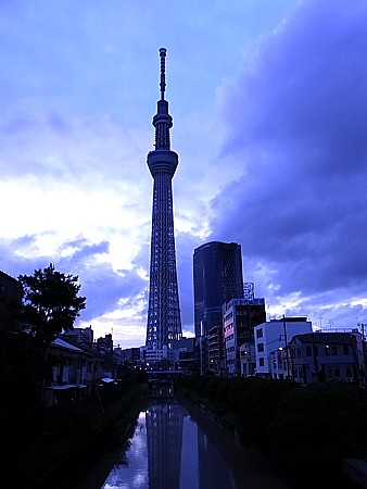 幻想的なスカイツリー