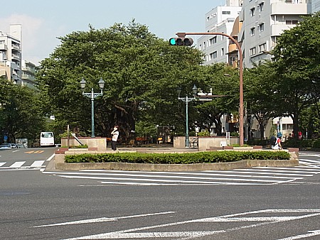 さくら並木道