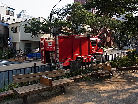 播磨坂さくら並木