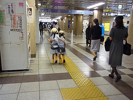 大きな玉ねぎの下