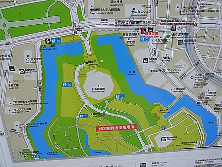 大きな玉ねぎの下