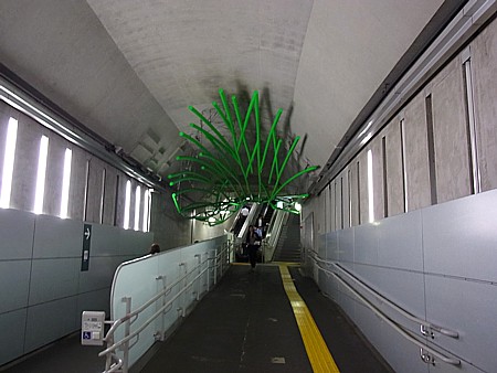 忍び寄る竹?