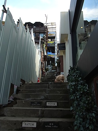三清洞通り