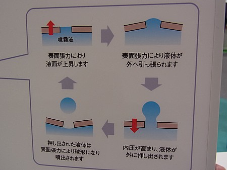 行ってみた