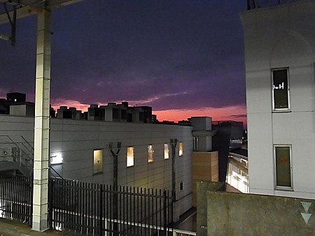 元旦の夕陽