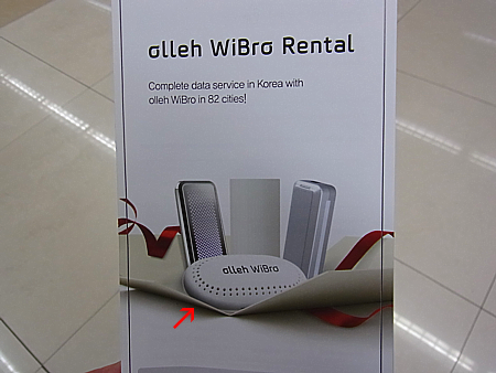 WiMAX egg
