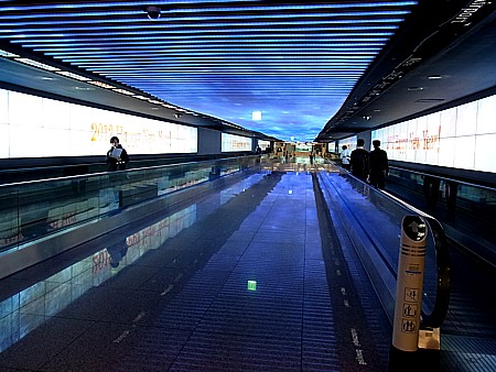 幻想的な空間