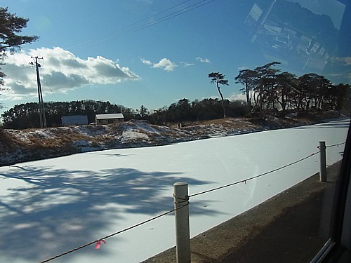 貞山堀