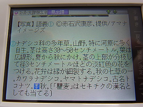 レビュー