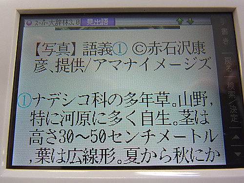感想
