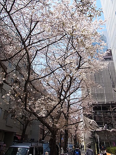 東京