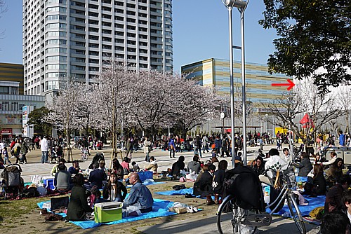 墨田区総合体育館