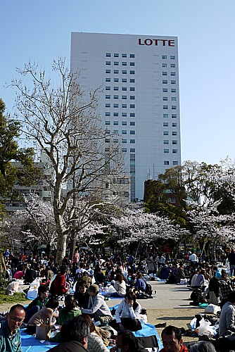 ロッテシティホテル錦糸町