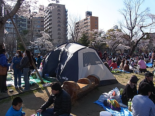 テント最高