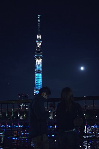 東京ホタル