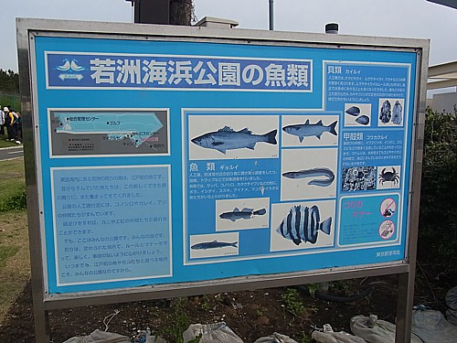 若洲海浜公園