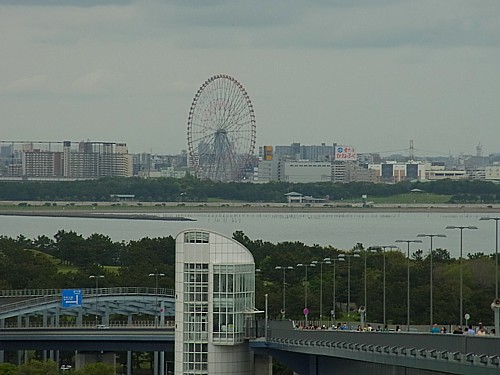 葛西臨海公園