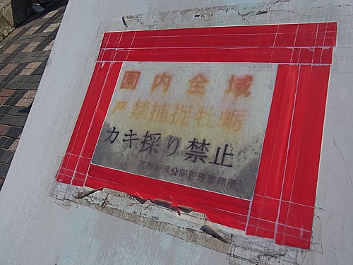 貝採取禁止