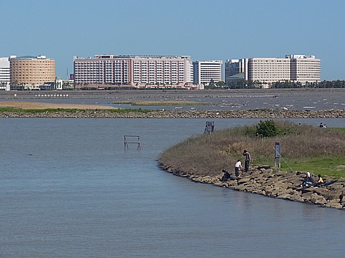 海釣り