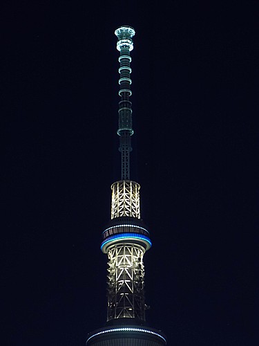 東京ホタル