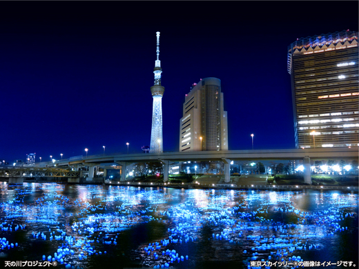 東京ホタル