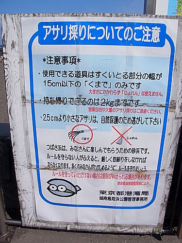 あさり捕り