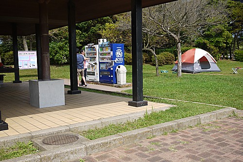 若洲キャンプ