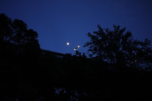 月夜の晩