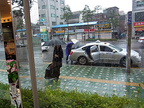韓国の梅雨