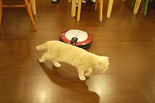 ロボット掃除機