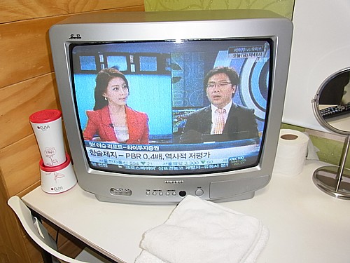 テレビ視聴
