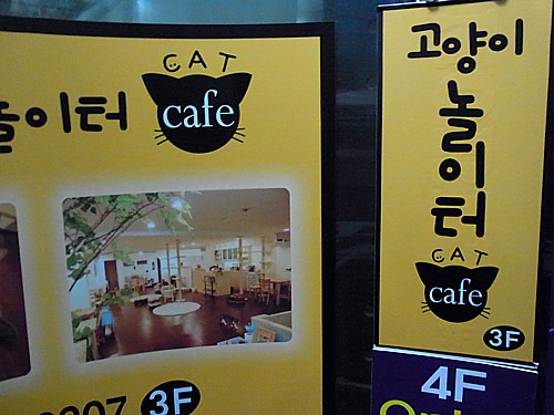 猫カフェ