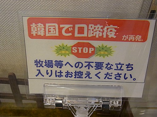 こうていびょう