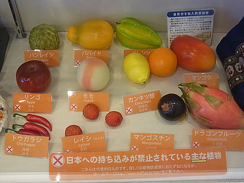 果実類