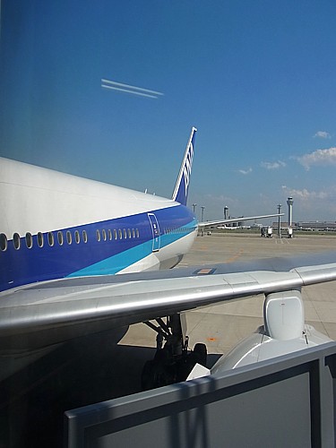 全日空機体デザイン