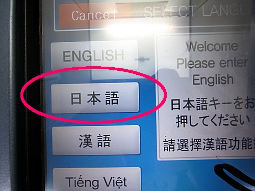 日本語対応