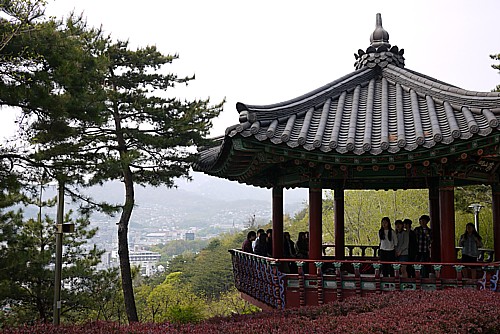 駱山公園
