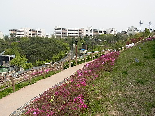 山頂団地