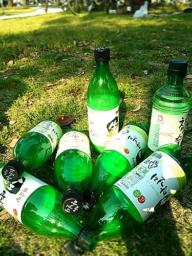 生マッコリ