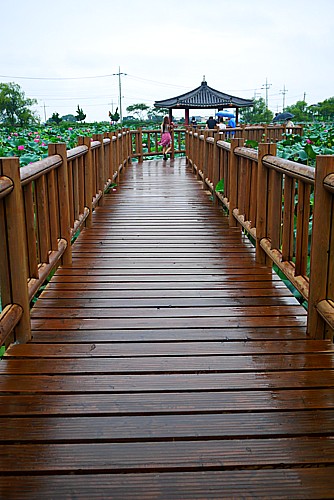 遊歩道