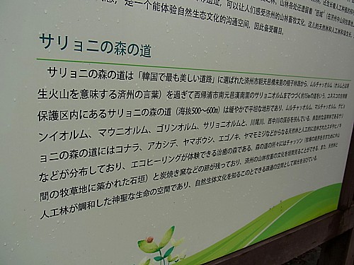 日本語表記
