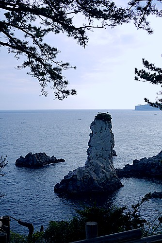 7番コース