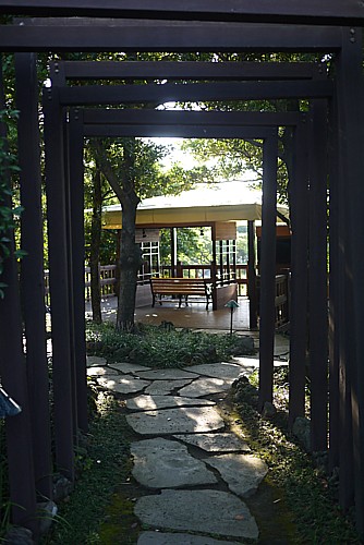 広い庭