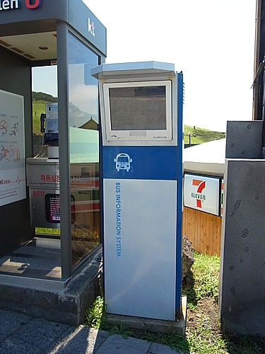 Bus Information System