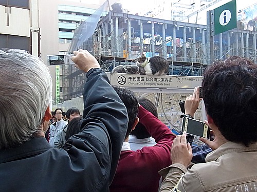 写真撮りたい人達