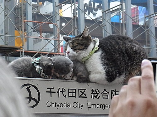 風物詩