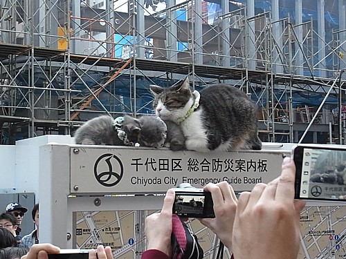 警察介入する始末