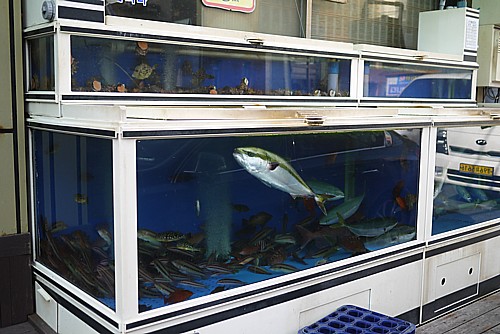 新鮮魚介