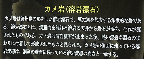 日本語説明